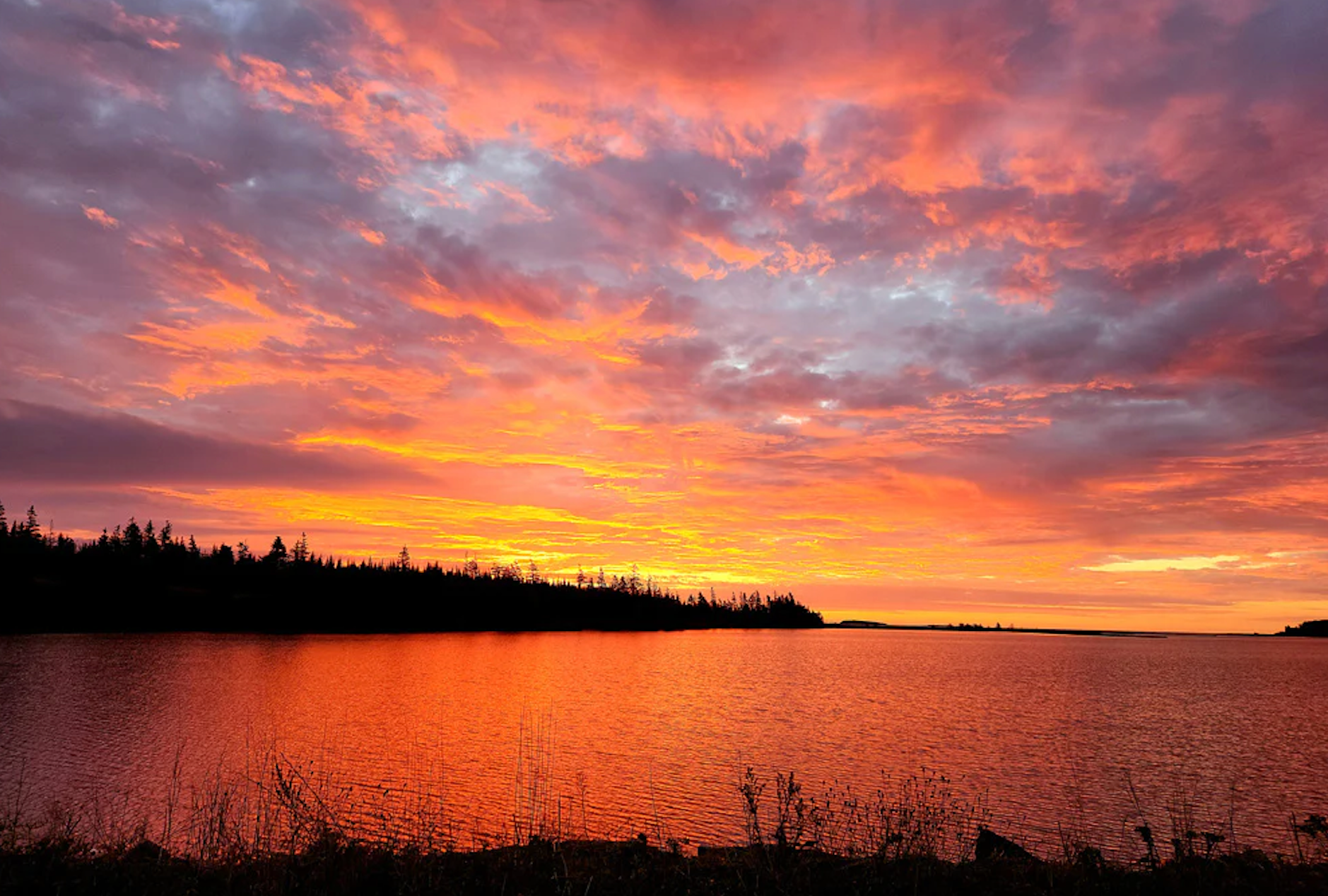 The Atlantic View Trail