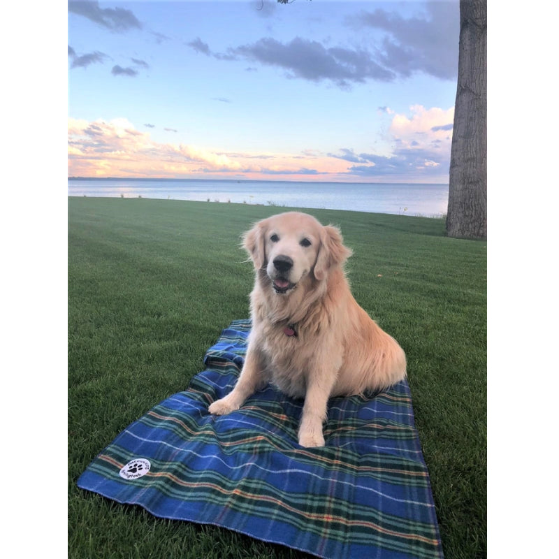 Patrick King Woollen Company - Barkingtosh Tartan Wool Pet Blanket