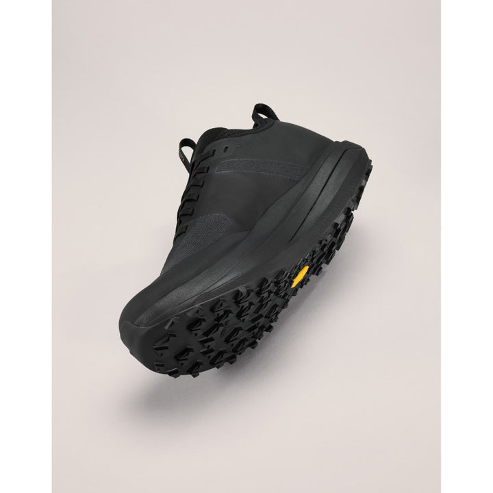 Arc'teryx Sylan GTX Shoe - Men's