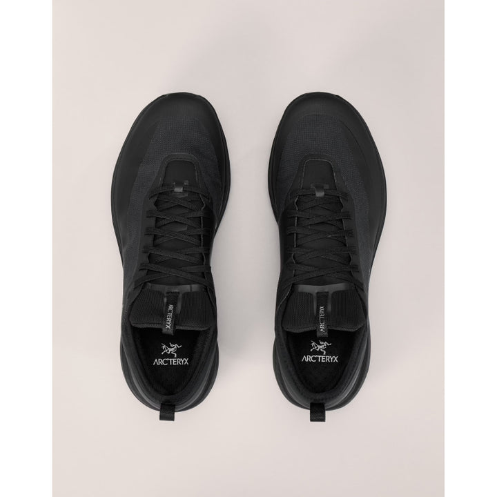 Arc'teryx Sylan GTX Shoe - Men's