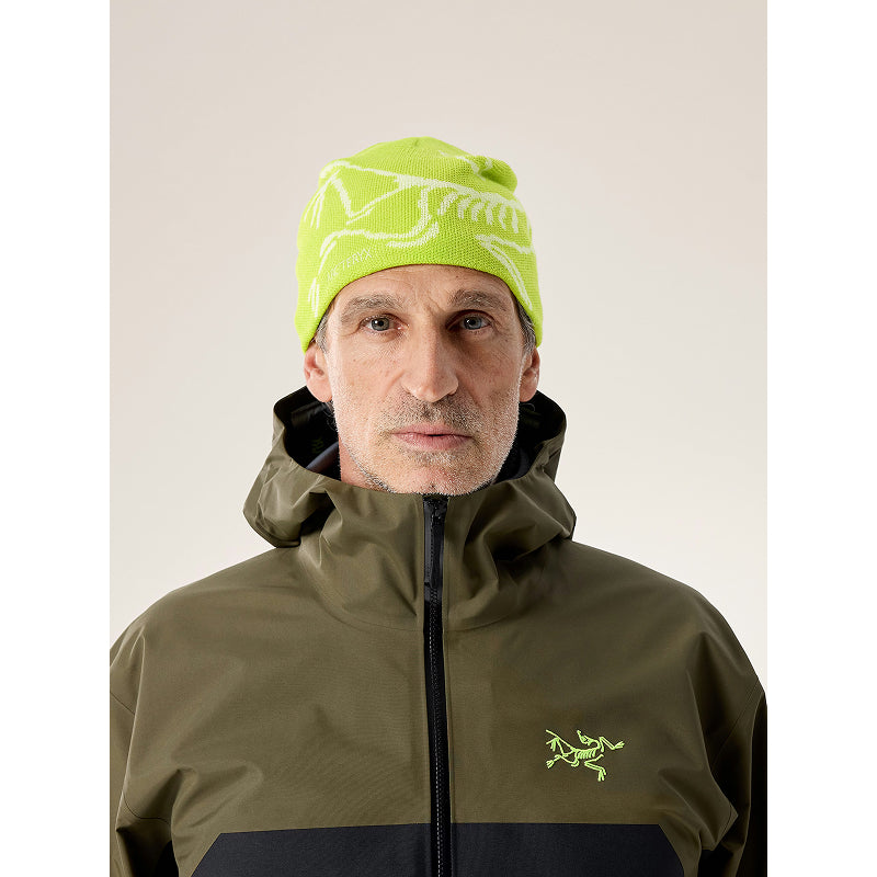 Arc'teryx Bird Head Toque – The Trail Shop