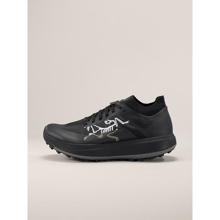 Arc'teryx Sylan Pro Shoe - Men's