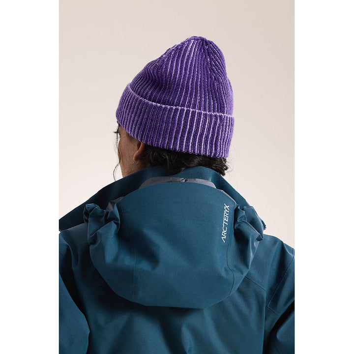 Arc'teryx Ribbed Toque
