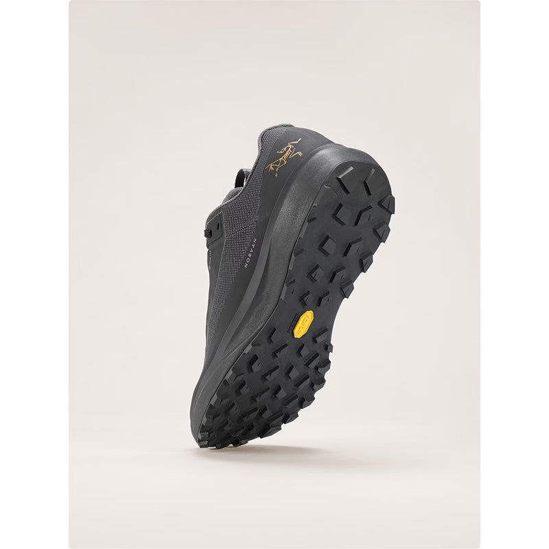 Arc'Teryx Norvan LD 4 GTX Shoe - Women's