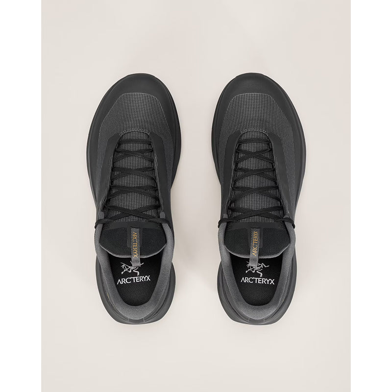 Arc'Teryx Norvan LD 4 GTX Shoe - Women's