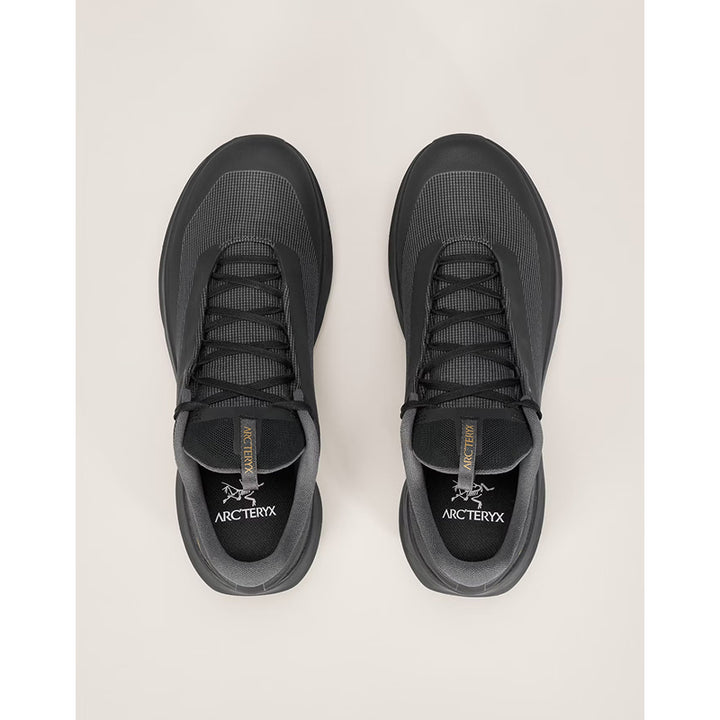 Arc'Teryx Norvan LD 4 GTX Shoe - Women's