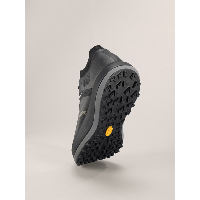 Arc'teryx Sylan Pro Shoe - Men's