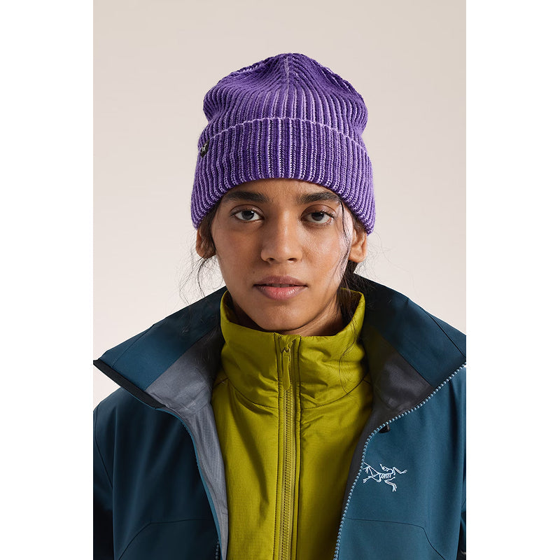 Arc'teryx Ribbed Toque