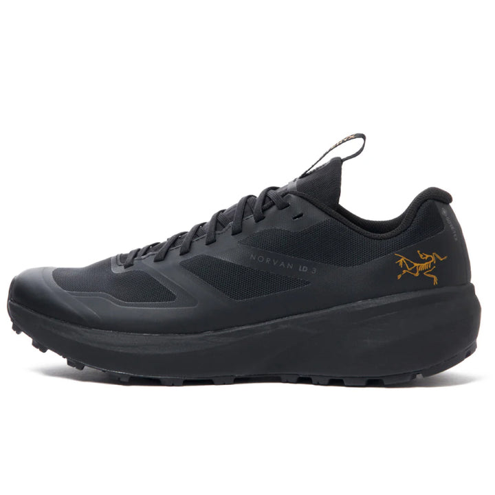 Arc'Teryx Norvan LD 3 GTX Shoe - Men's