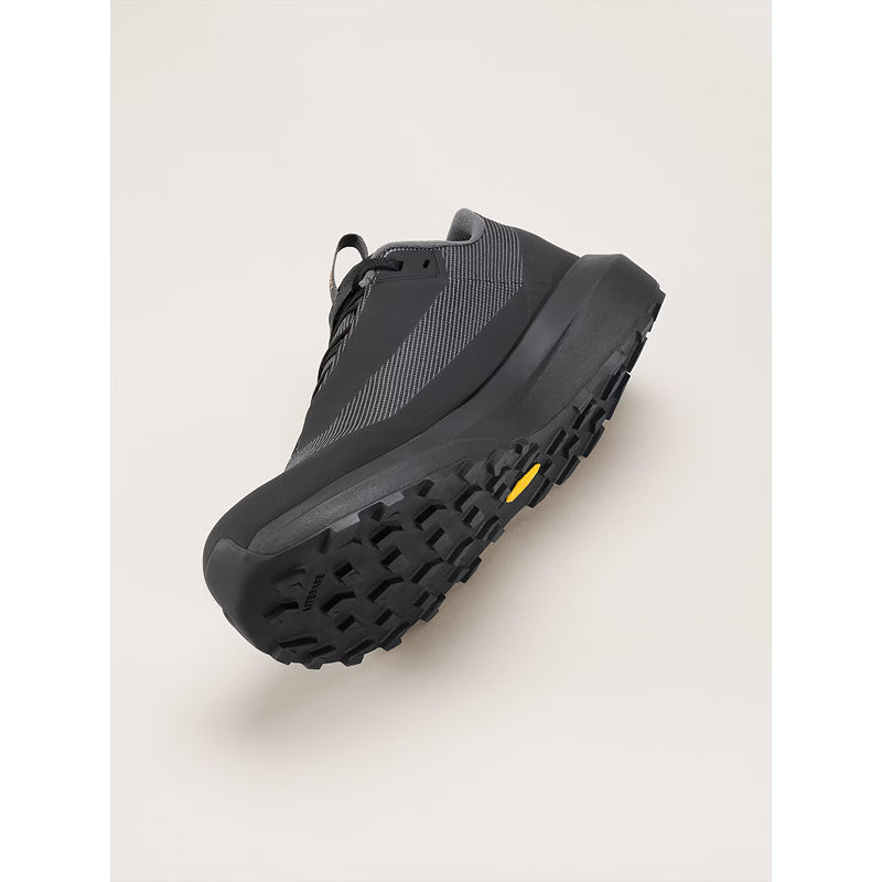 Arc'Teryx Norvan LD 4 GTX Shoe - Women's