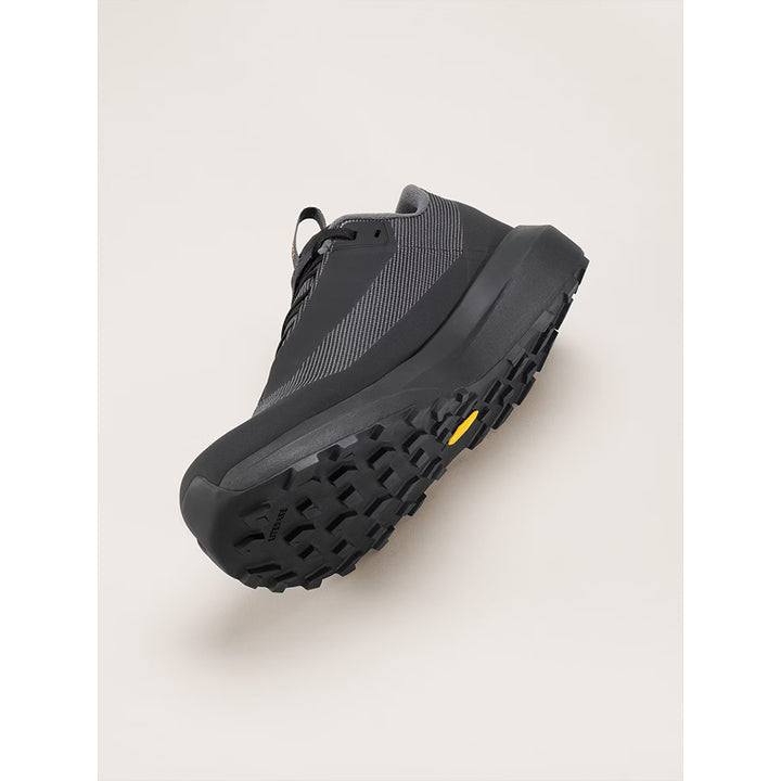 Arc'Teryx Norvan LD 4 GTX Shoe - Women's