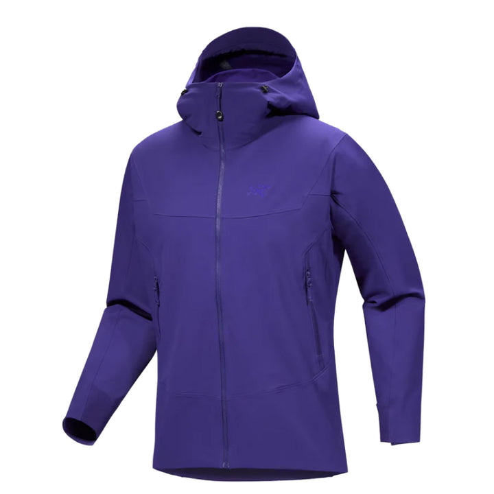 Arc'teryx Men's Gamma Hoody