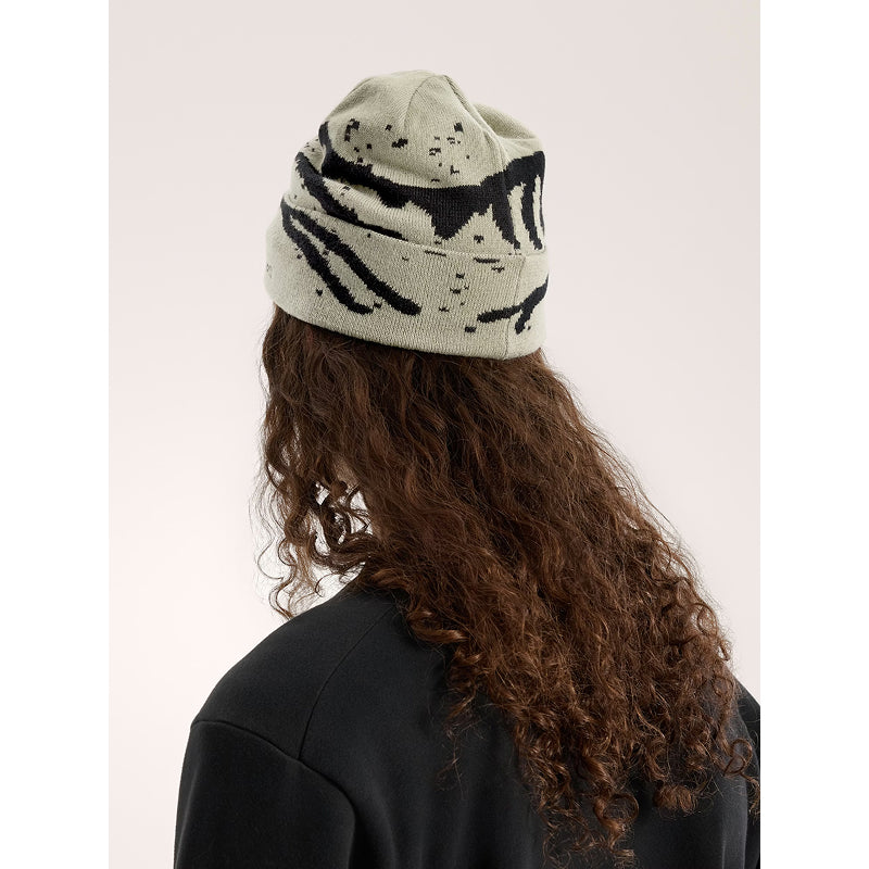 Bonnet Arc'teryx Grotto