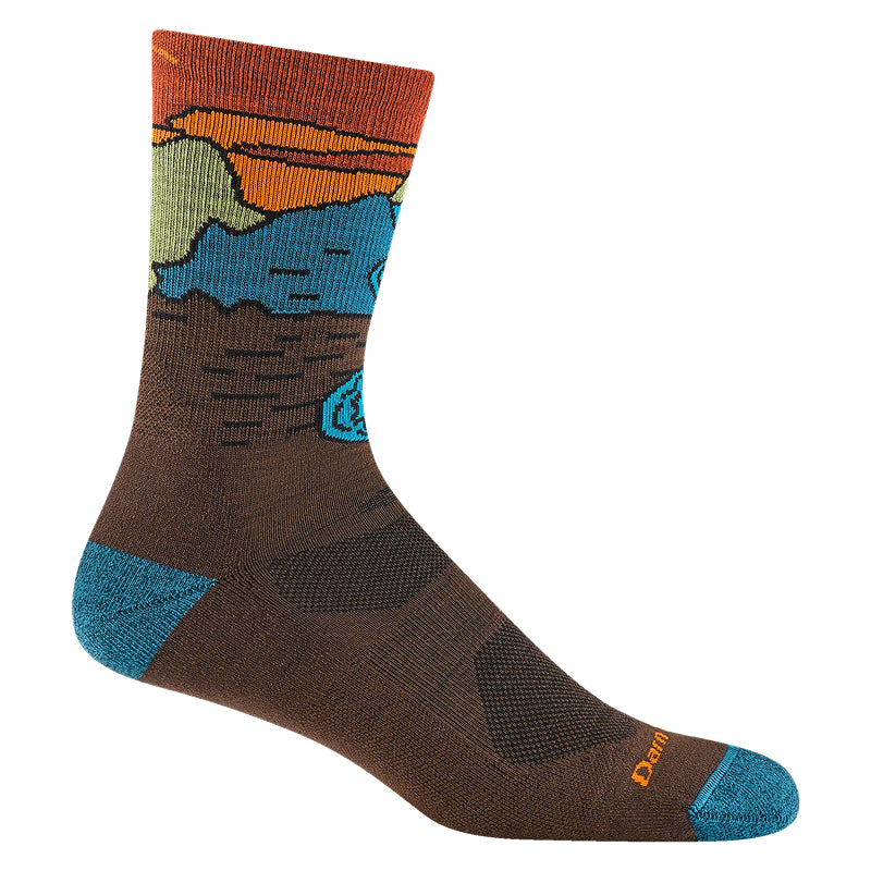 Darn Tough Men's Chasing Waterfalls Micro Crew Lightweight Hiking Sock