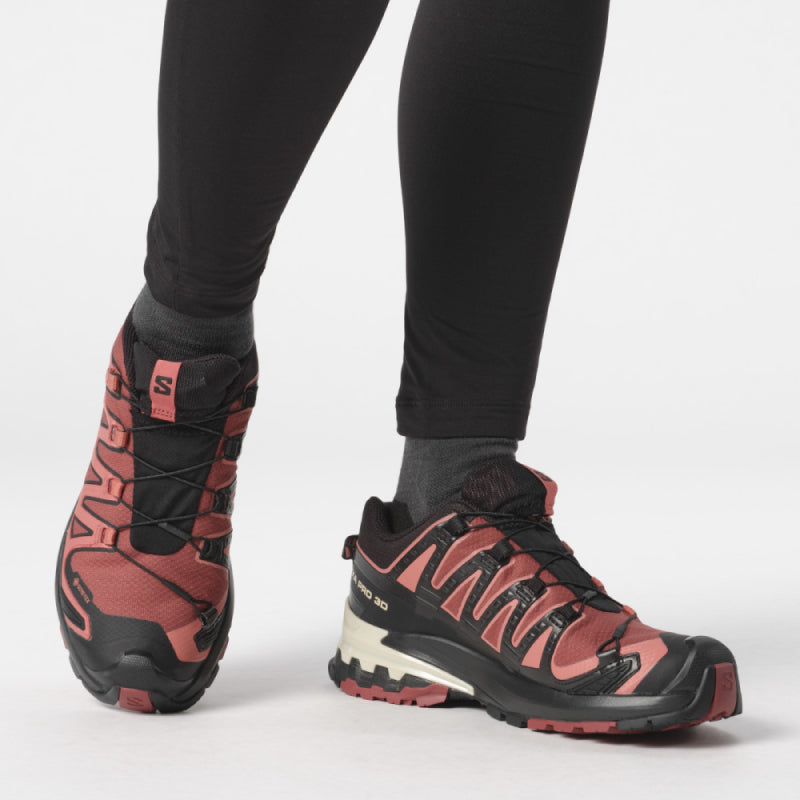 Salomon Women's XA Pro 3D V9 GTX Hiking Shoe