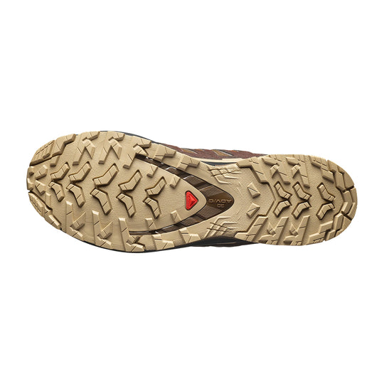 Salomon XA Pro 3D V9 GTX, Chaussure de Randonnée Homme