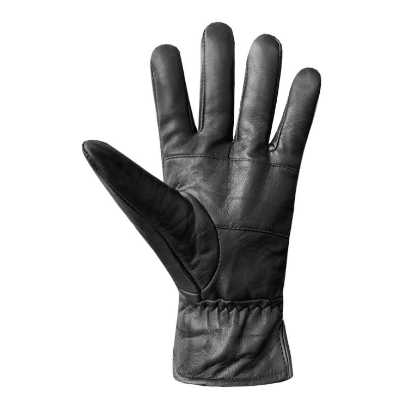 Auclair Men's Gianni Glove