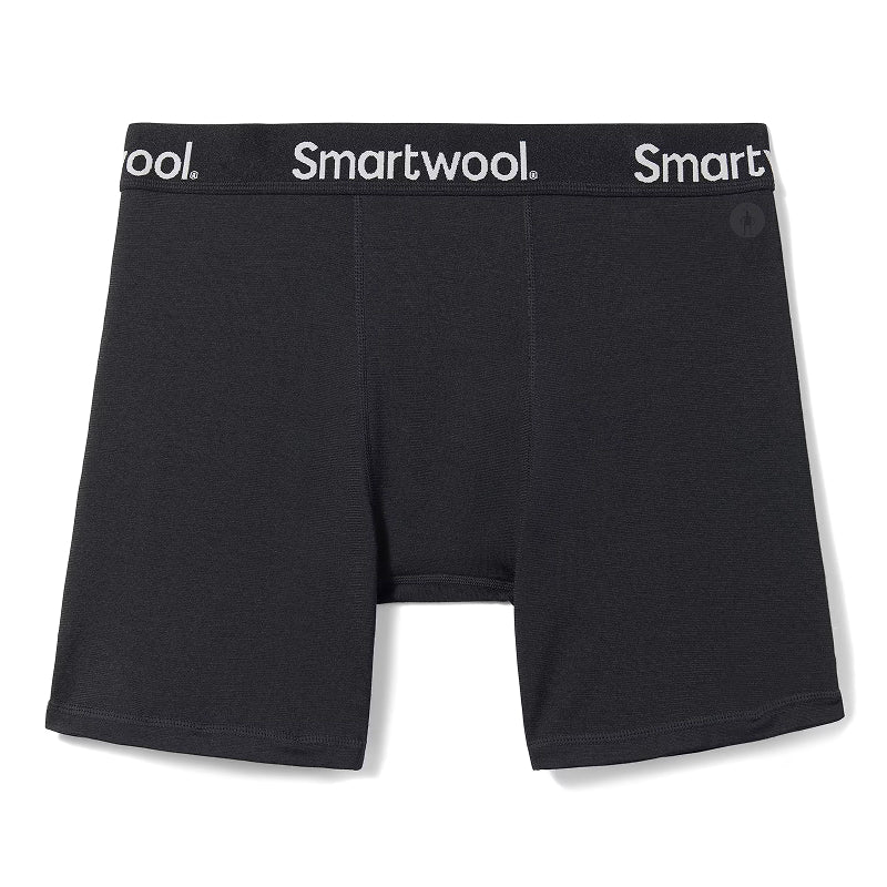 SmartWool Men's Active Boxer Brief Boxed