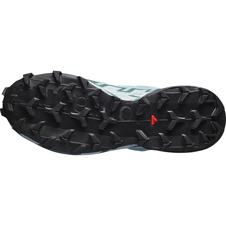 Salomon Women's Speedcross 6 GTX Shoe