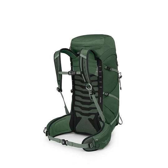 Balbuzard Osprey Talon 33