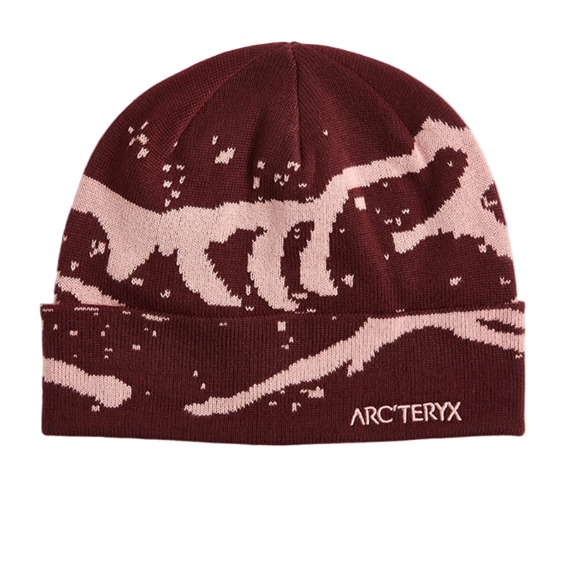 Bonnet Arc'teryx Grotto