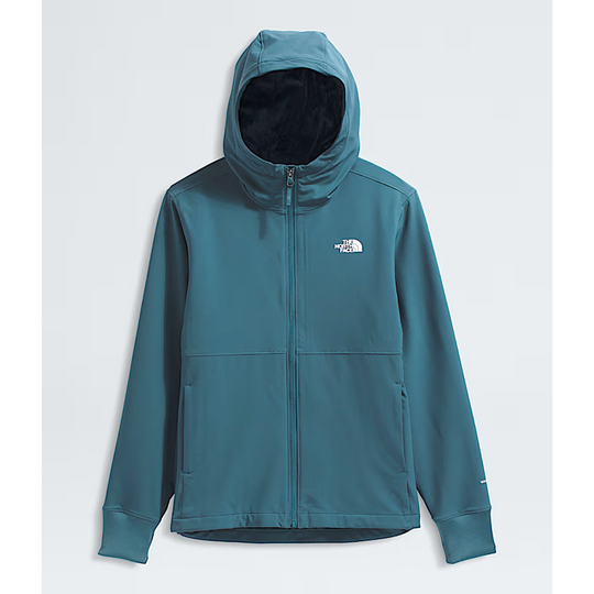 Sweat à capuche Shelbe Raschel pour femme de The North Face