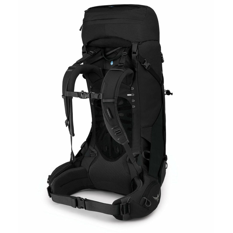 Balbuzard pêcheur Éther 55