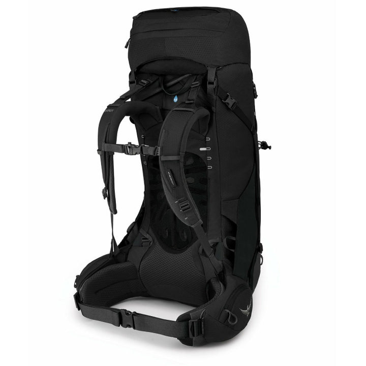 Balbuzard pêcheur Éther 55