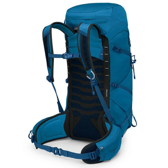 Balbuzard Osprey Talon 33