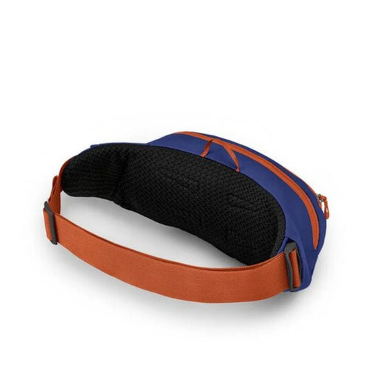 Osprey Daylite Waist