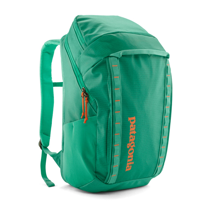 Patagonia Black Hole® Pack - 32L