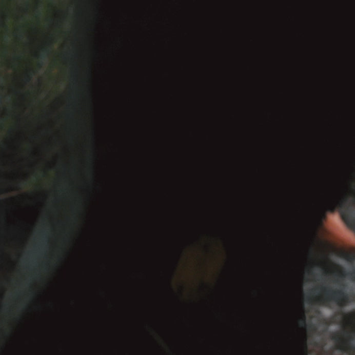 Arc'Teryx Norvan LD 4 GTX Shoe - Women's