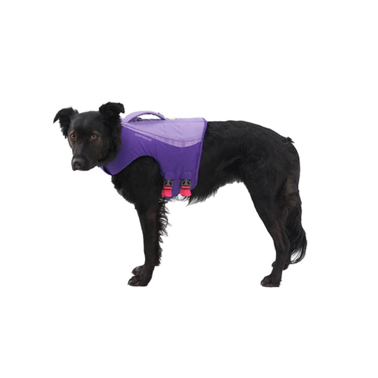 Gilet de sauvetage pour chien Ruffwear Float Coat