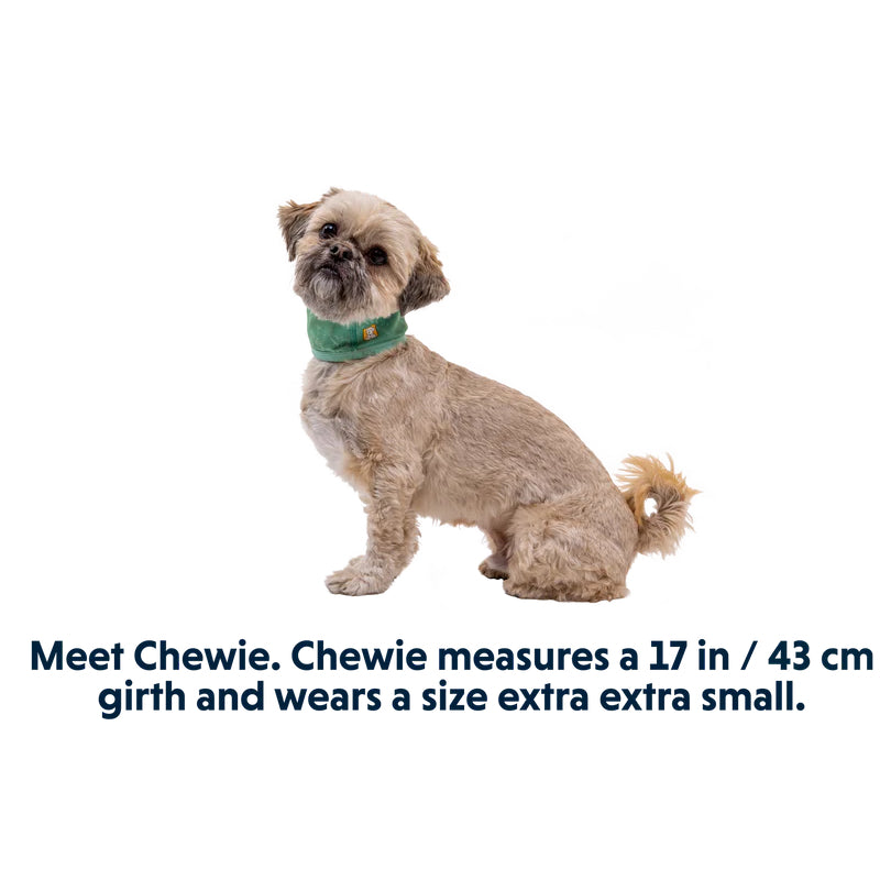 Ruffwear Swamp Cooler Neck Gaiter