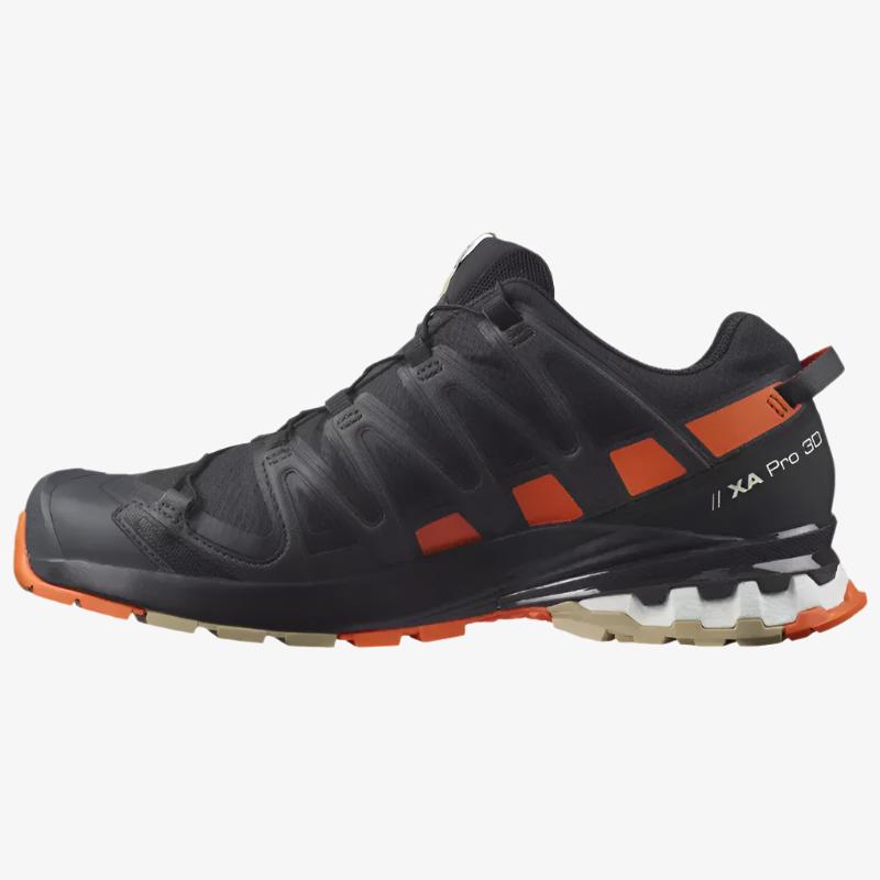 Salomon XA Pro 3D V8 GTX, Chaussure de Randonnée Homme