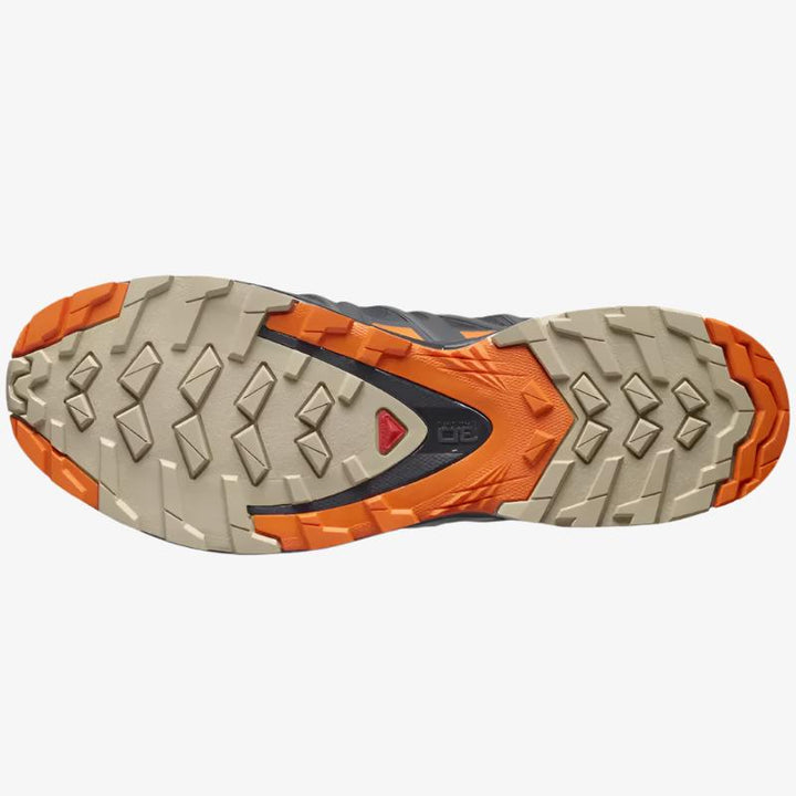Salomon XA Pro 3D V8 GTX, Chaussure de Randonnée Homme