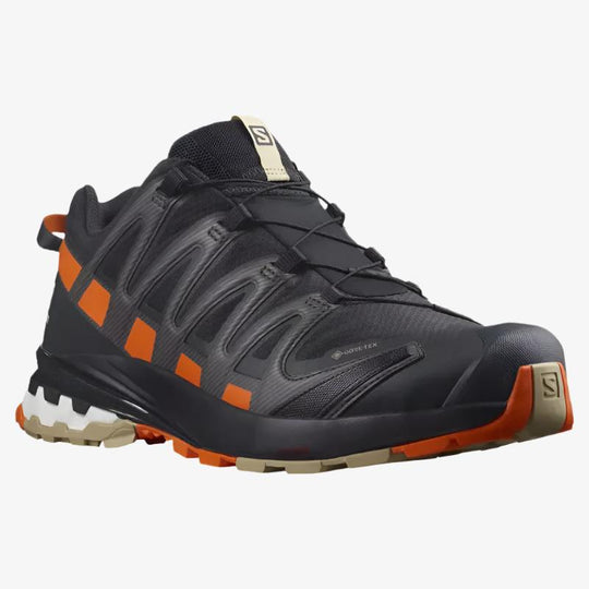 Salomon XA Pro 3D V8 GTX, Chaussure de Randonnée Homme