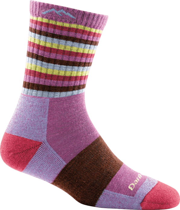 Darn Tough Women's Stripes Micro Crew Cushion Sock