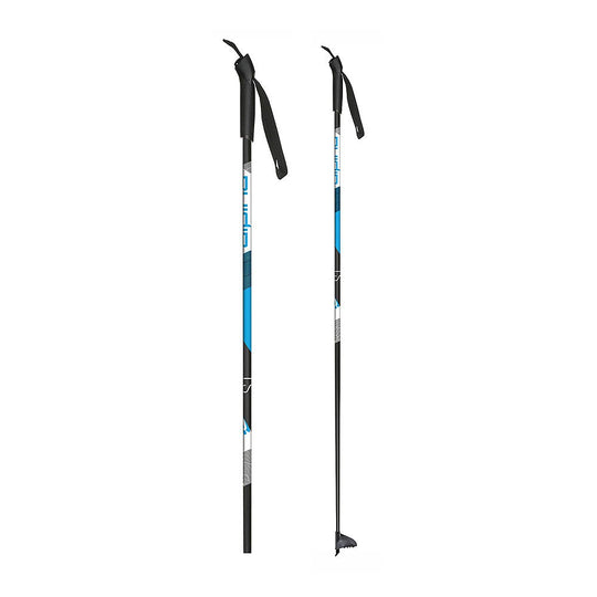 Bâtons de ski Alpina ST