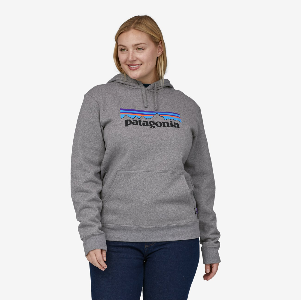Patagonia 2025 better hoodie
