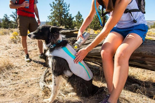 Ruffwear Swamp Cooler Gilet rafraîchissant pour chien