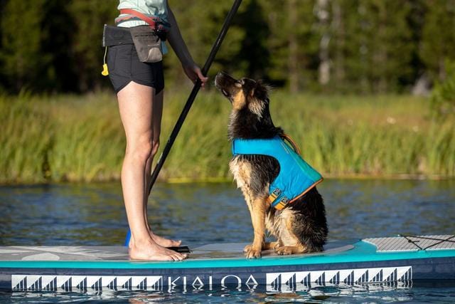 Gilet de sauvetage pour chien Ruffwear Float Coat