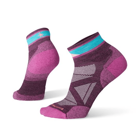 SmartWool Women's Approach Mini Socks