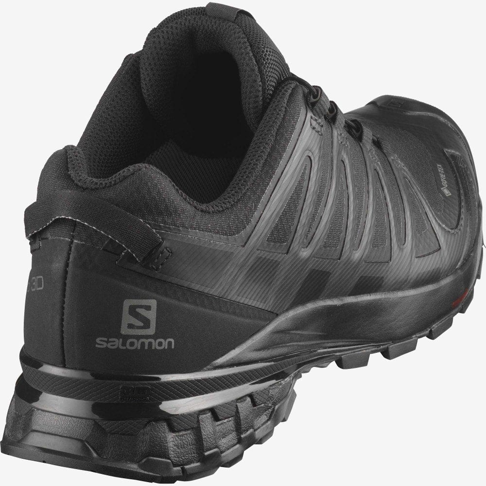 Salomon Women's XA Pro 3D V8 Gore-Tex Trail Running Shoe