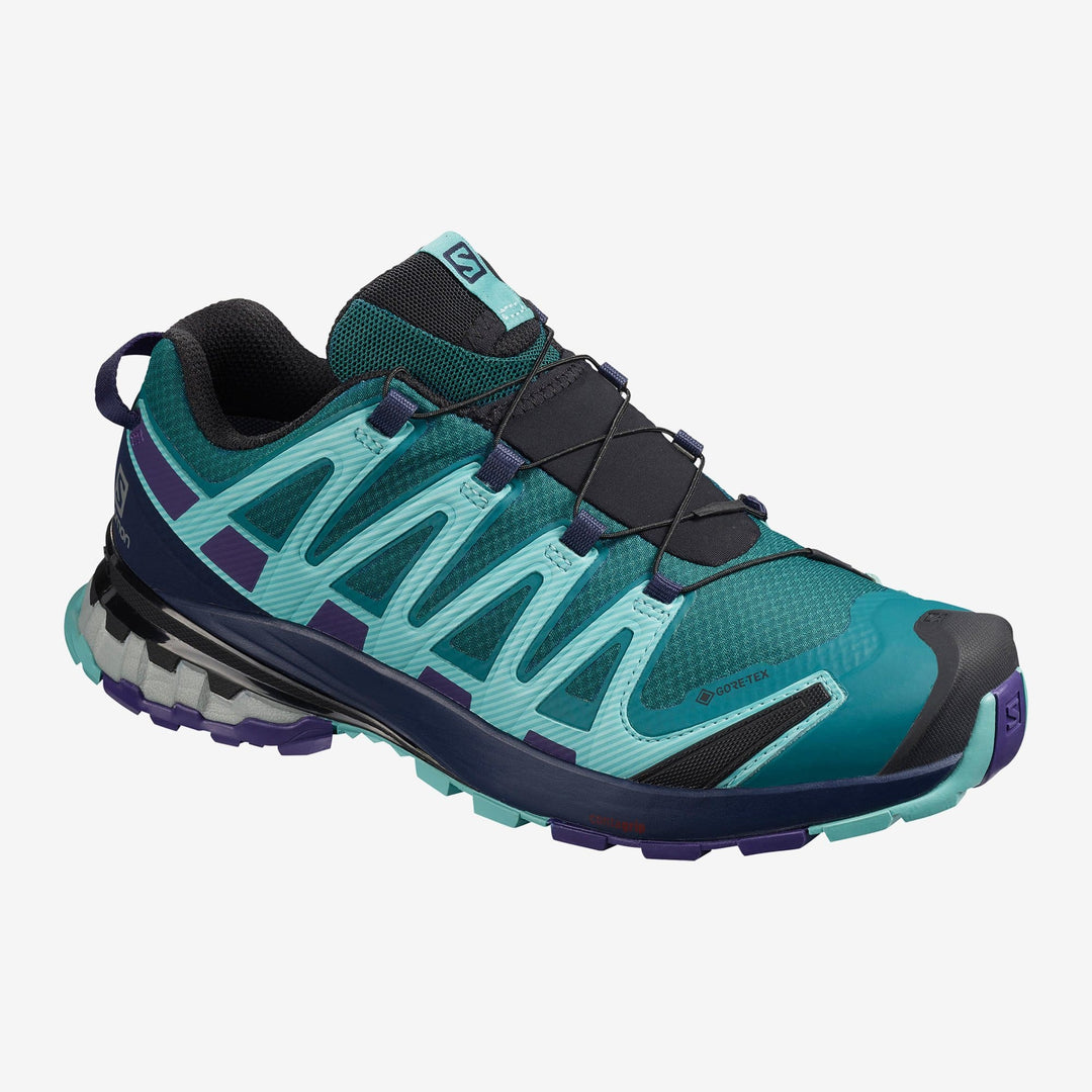 Salomon Women's XA Pro 3D V8 GTX Hiking Shoe